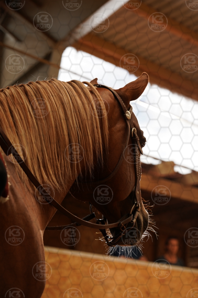 s_A9_08942.jpg